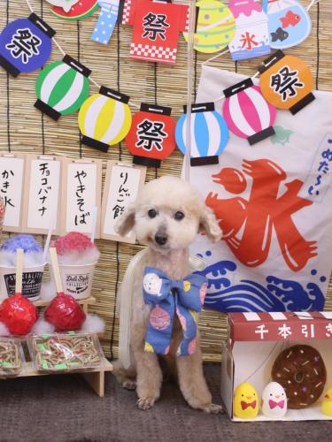 20240709あくびちゃん